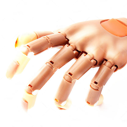 Manicure Joints For Manicure Artificial Hand Exercises