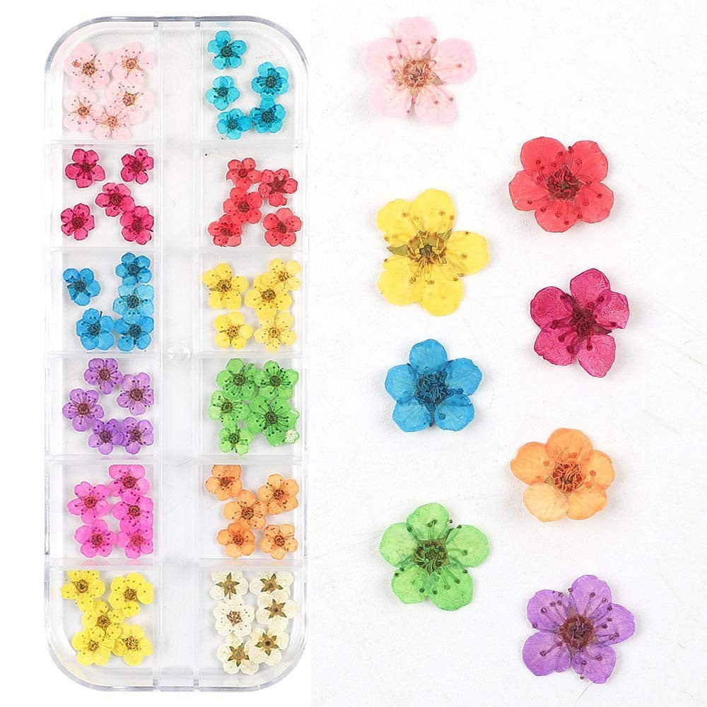 Nail Art Dry Flower 12 Grid Boxed Colorful Daisy Gypsophila Real Flower Nail Jewelry