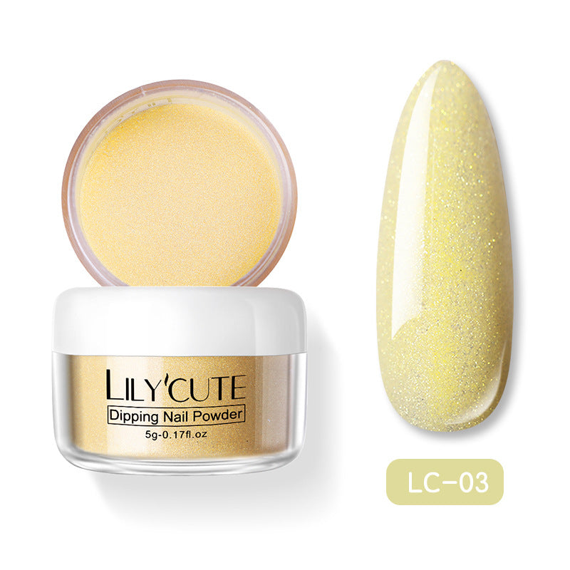 9 color nail Sequin powder