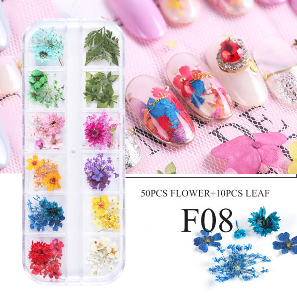 Nail Art Dry Flower 12 Grid Boxed Colorful Daisy Gypsophila Real Flower Nail Jewelry